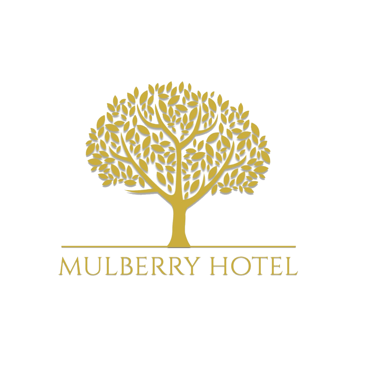 Mulberry Hotel Hunza